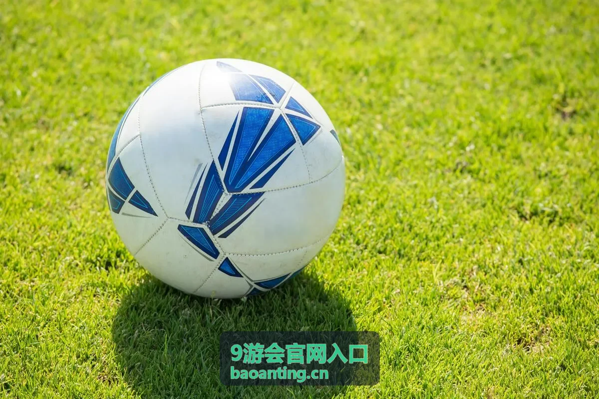 9游会官网入口黄金铂金会员适用场景