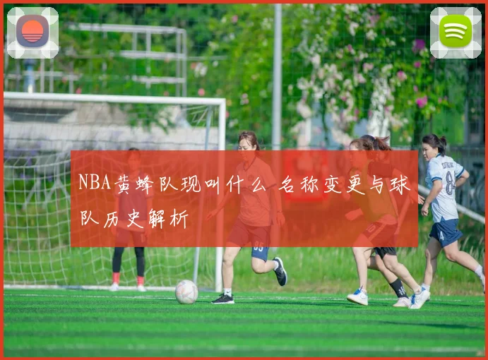NBA黄蜂队现叫什么 名称变更与球队历史解析