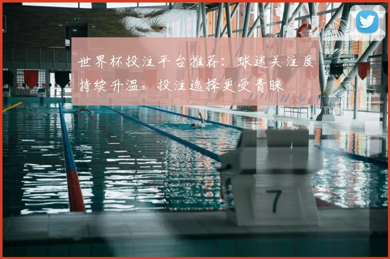 世界杯投注平台推荐：球迷关注度持续升温，投注选择更受青睐