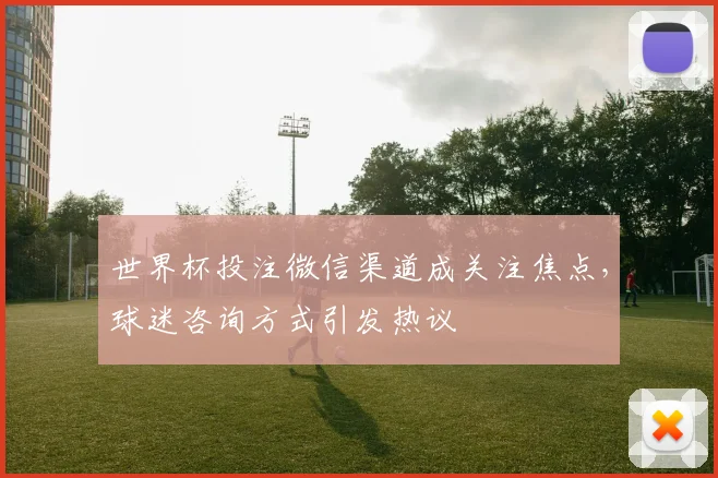 世界杯投注微信渠道成关注焦点，球迷咨询方式引发热议