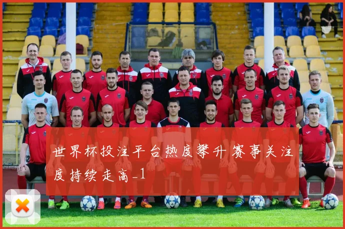 世界杯投注平台热度攀升 赛事关注度持续走高_1