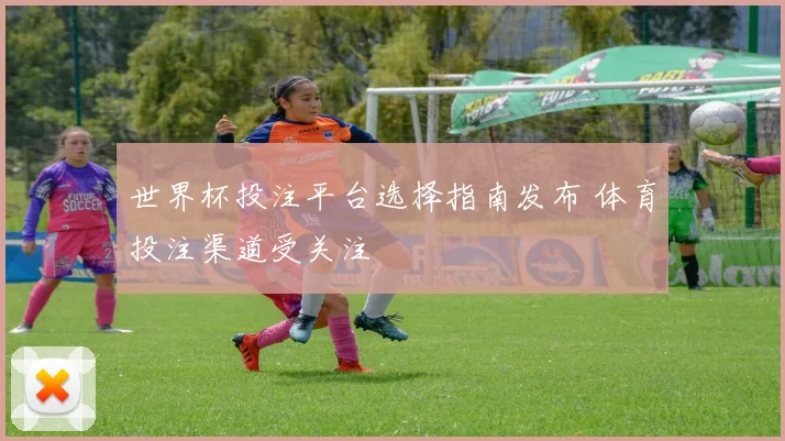 世界杯投注平台选择指南发布 体育投注渠道受关注