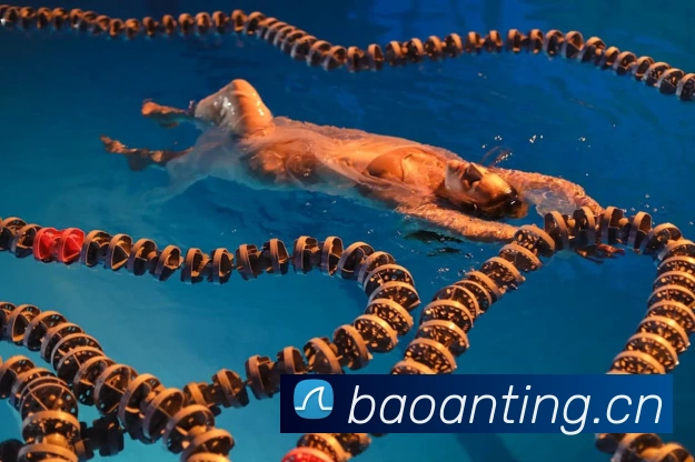 乐竞体育网站首页发展历程